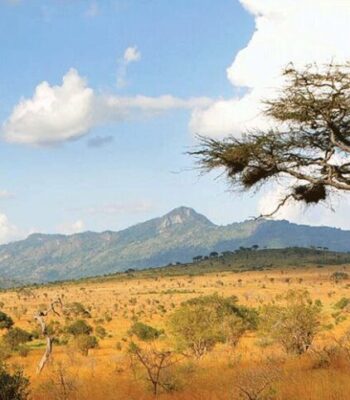 14-Day East African Odyssey: Gorillas, Safaris & Breathtaking Views