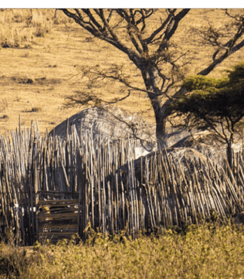 8 Days in Kenya: Maasai Culture and Wildlife Adventures