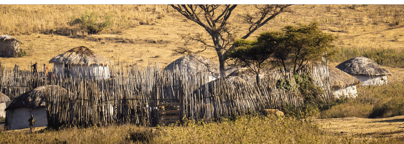 8 Days in Kenya: Maasai Culture and Wildlife Adventures