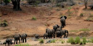 Discover Burundi's Hidden Gems: 10-Day Expedition