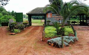 Unveiling-East-Africa's-Wonders-14-Days-of-Adventure-&-Untamed-Beauty-mtn-Elgon