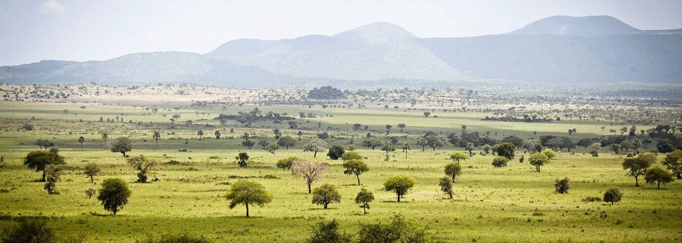 14 Days of East Africa’s Untamed Wonders”