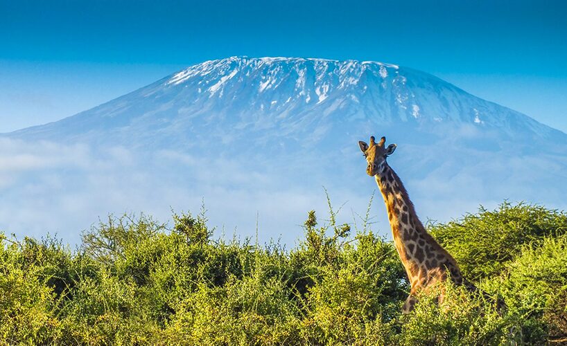 Multi-Destination Travel in East Africa: Combine Iconic Experiences in One Trip