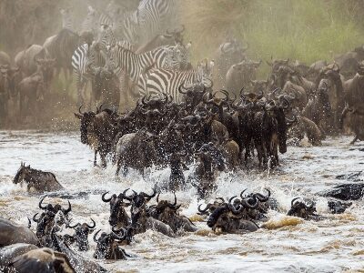 Great Migration Adventure Kenya & Tanzania Jul - Oct