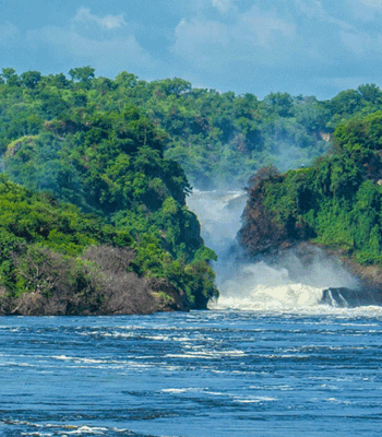 3-Day Murchison Falls Explorer: Rhinos, Chimps & Falls