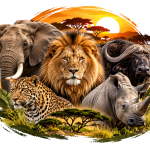 big 5 safaris